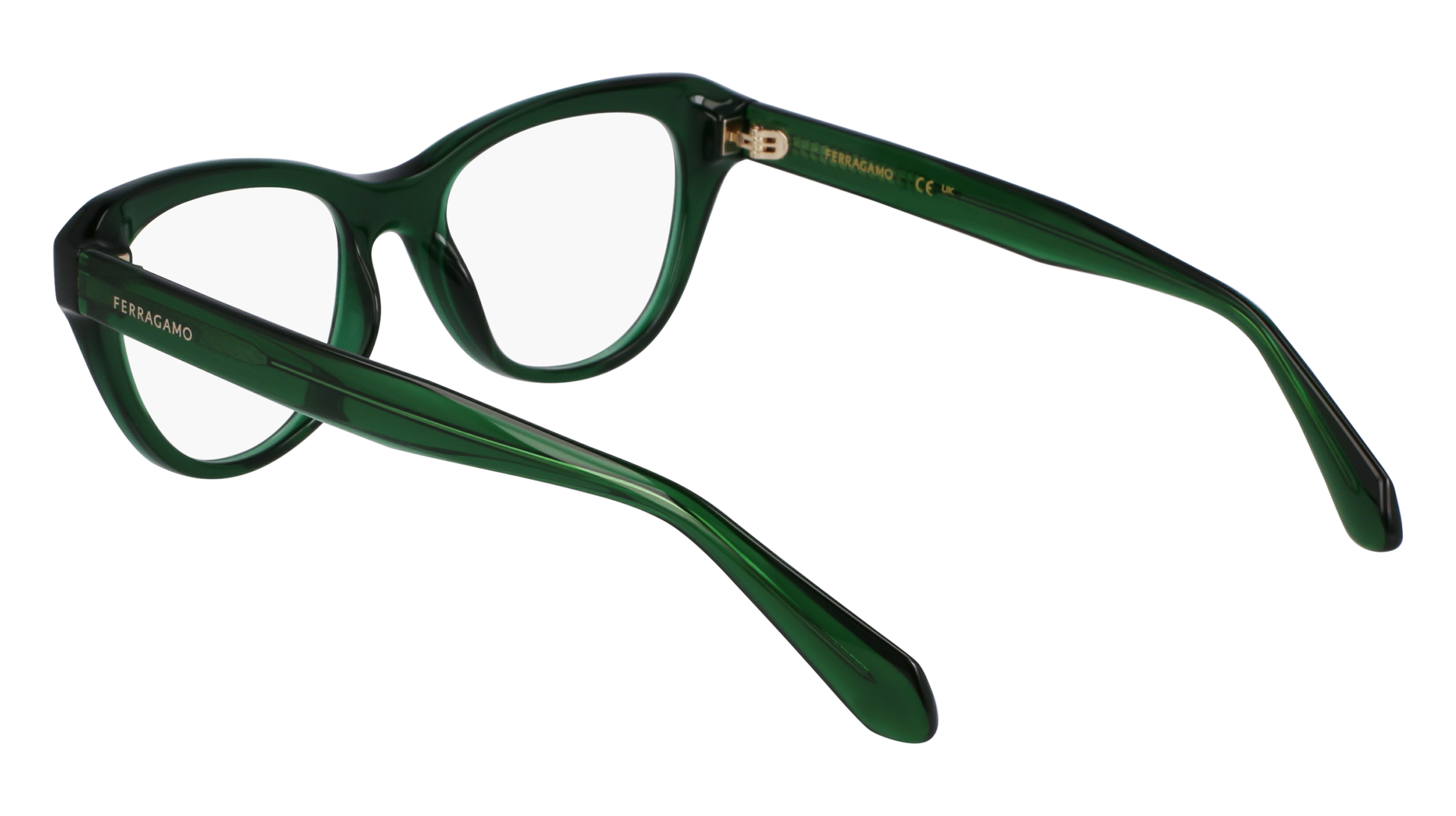 FERRAGAMO Eyeglasses SF2989E 317 51