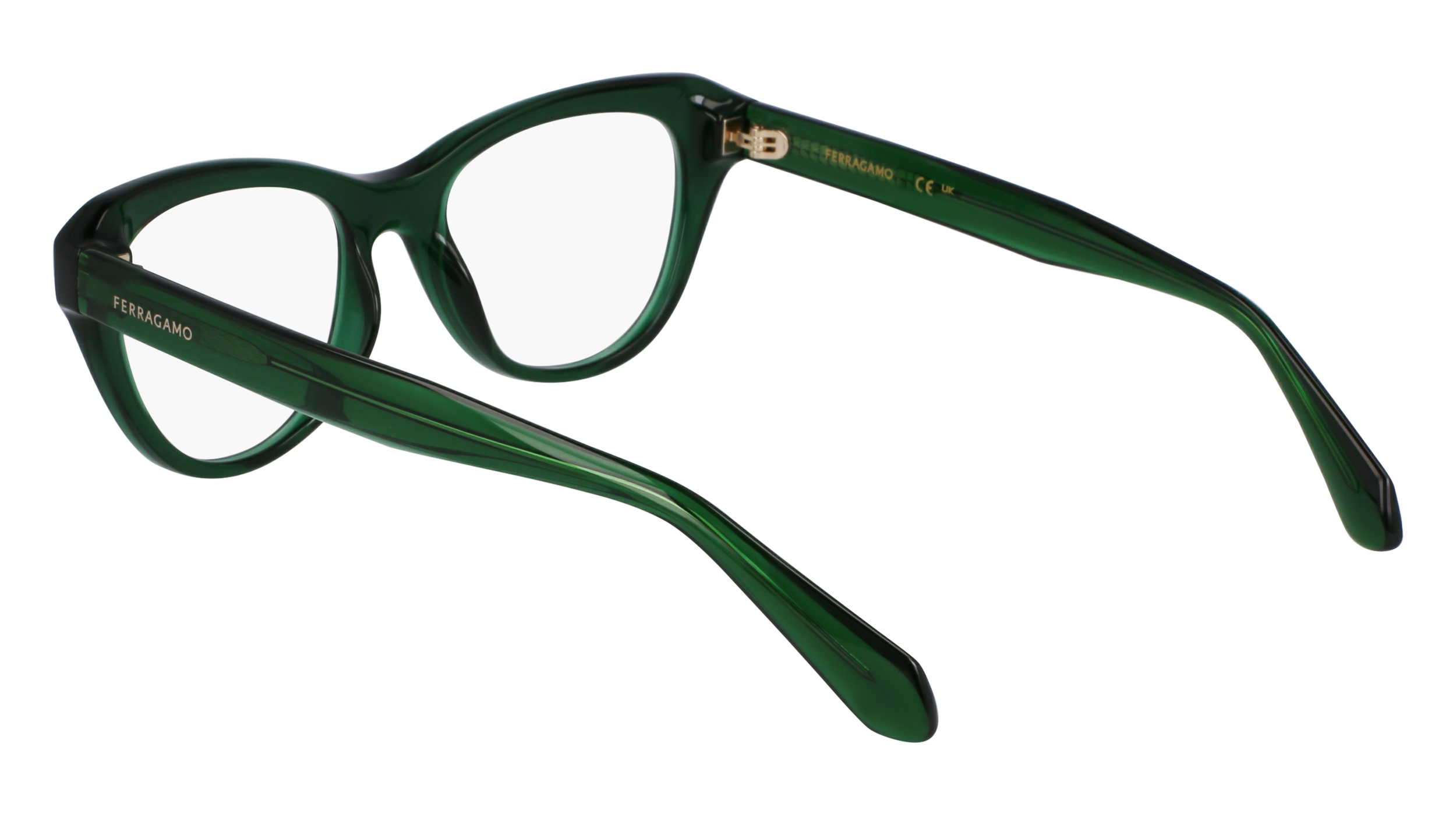 FERRAGAMO Eyeglasses SF2989E 317 51