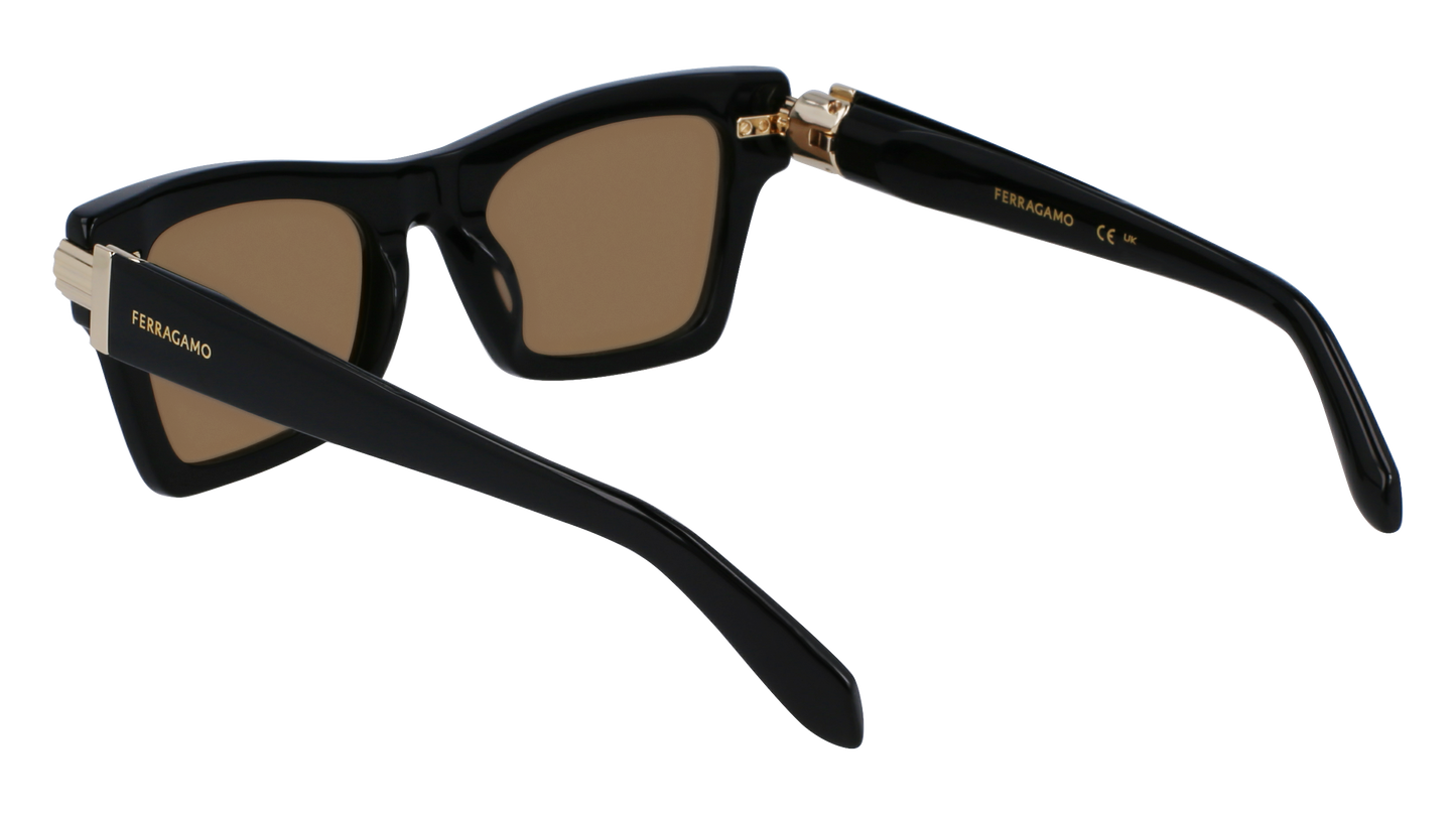 FERRAGAMO Sunglasses SF2013S 11 52