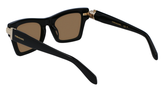 FERRAGAMO Sunglasses SF2013S 11 52