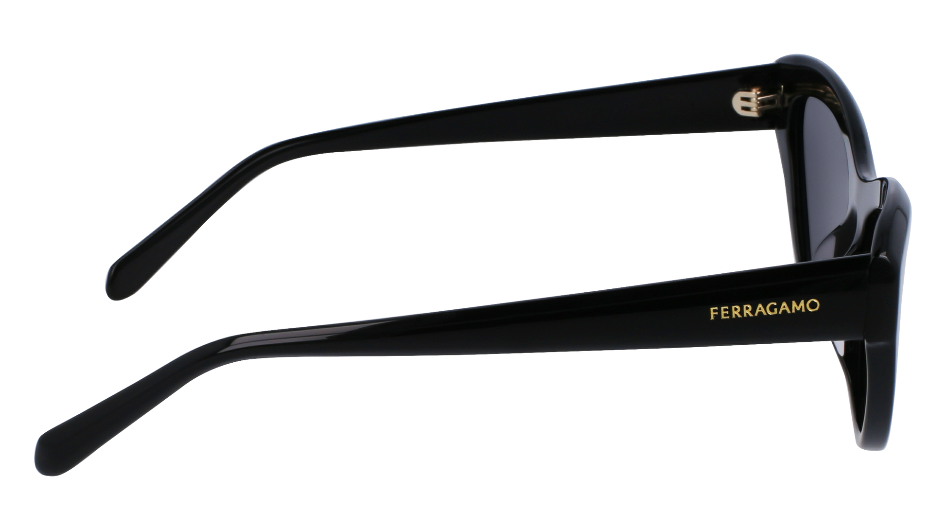 FERRAGAMO Sunglasses SF1103S 1 55