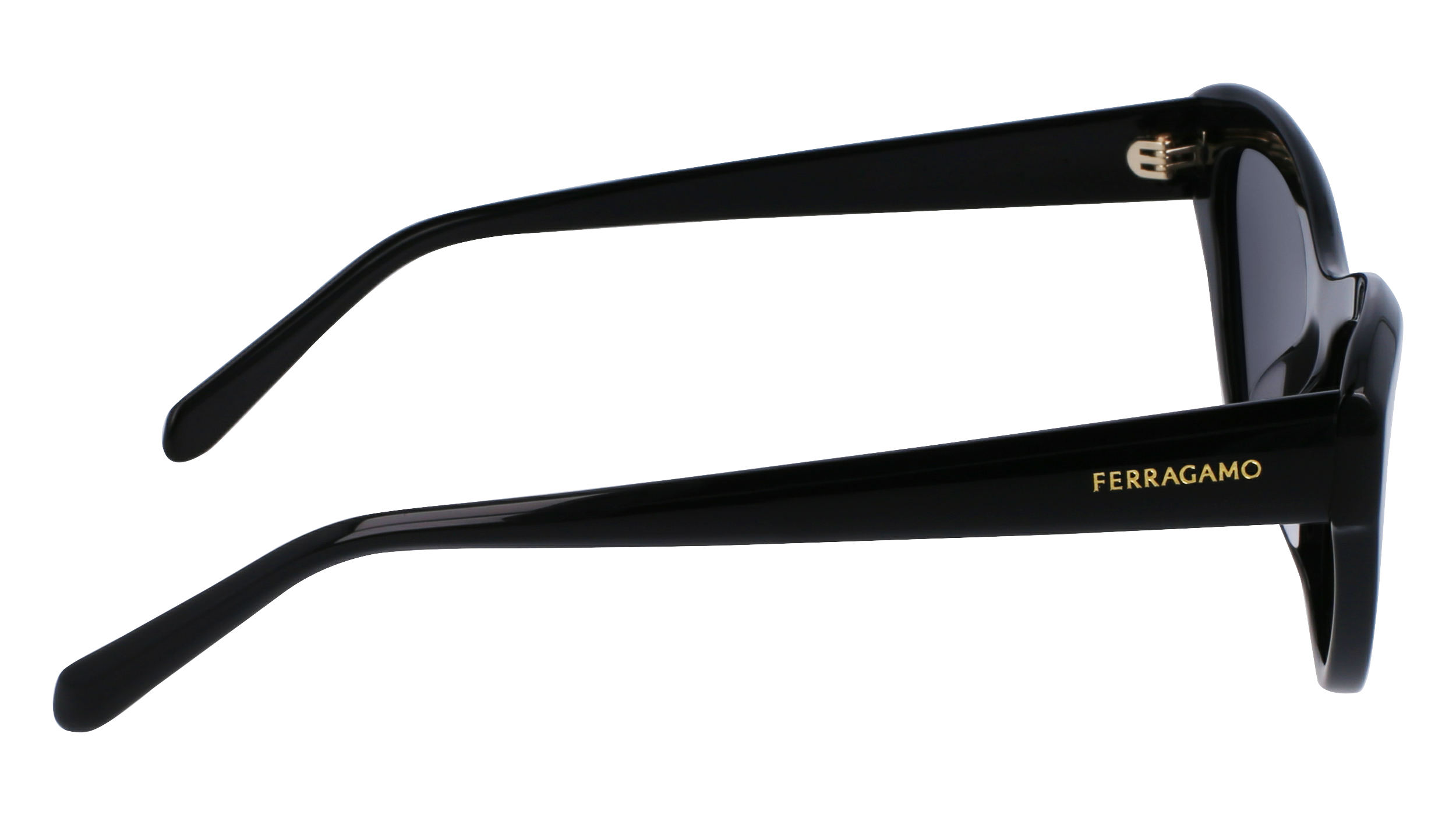 FERRAGAMO Sunglasses SF1103S 1 55