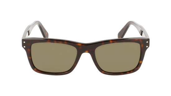 FERRAGAMO Sunglasses SF1039S 240 54