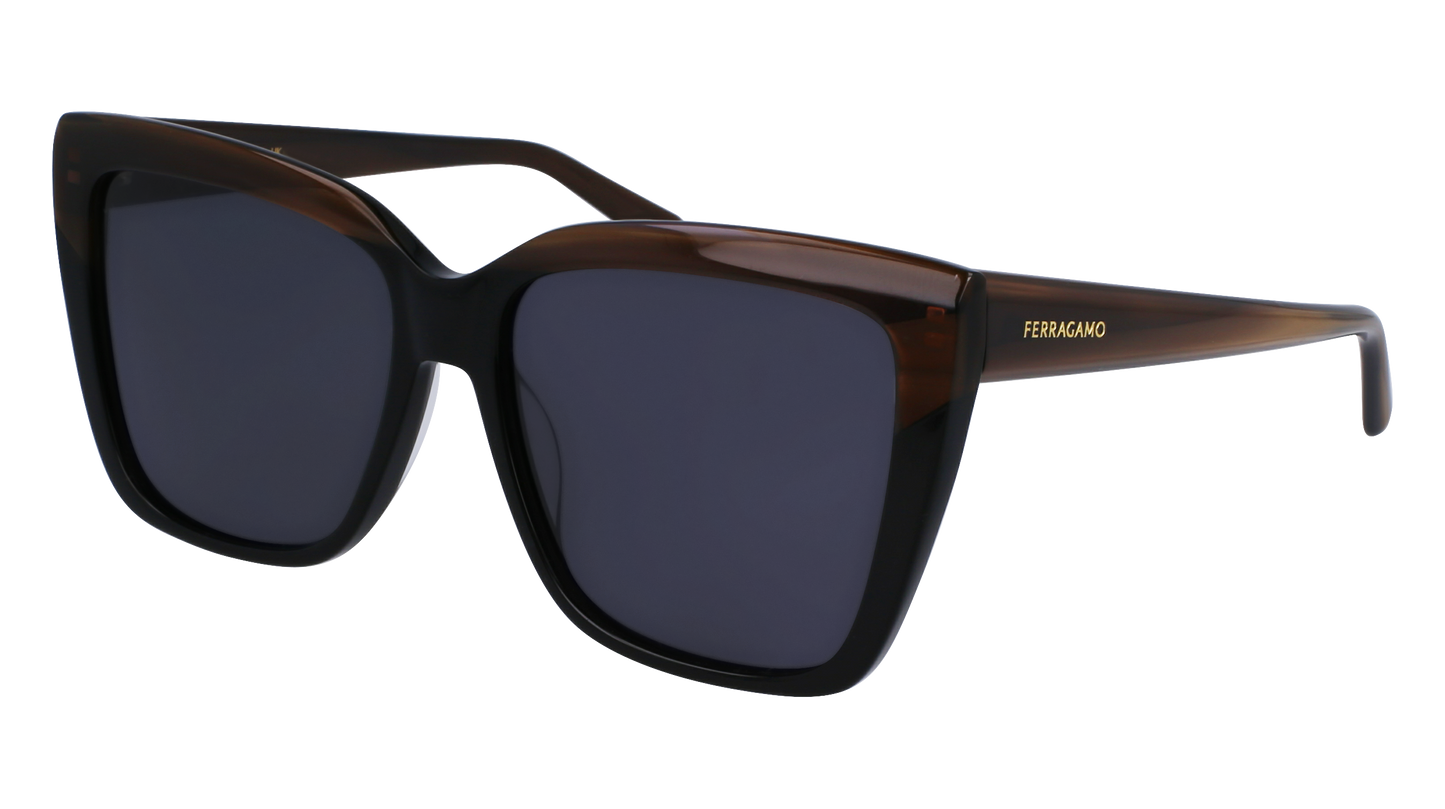 FERRAGAMO Sunglasses SF1102S 217 58