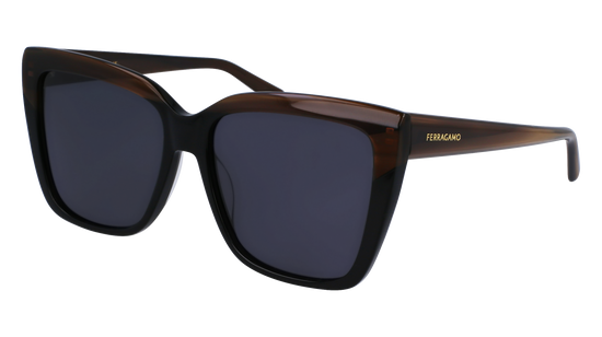 FERRAGAMO Sunglasses SF1102S 217 58