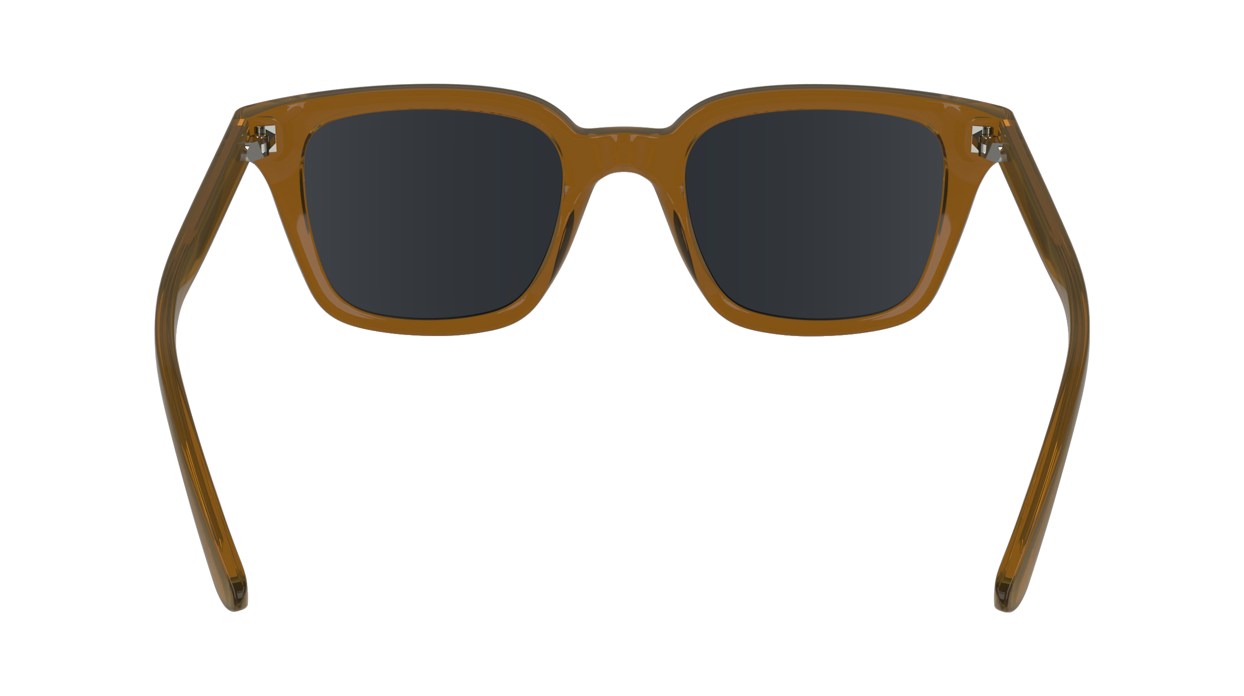 CALVIN KLEIN Sunglasses CK24506S 618 49