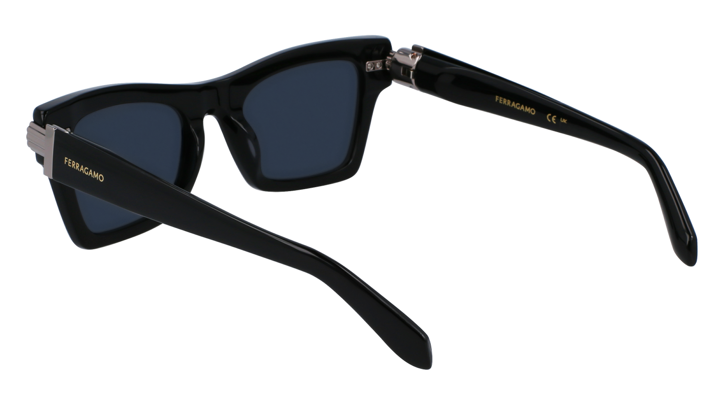 FERRAGAMO Sunglasses SF2013S 1 52