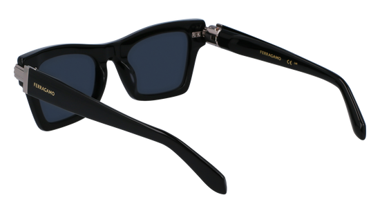 FERRAGAMO Sunglasses SF2013S 1 52