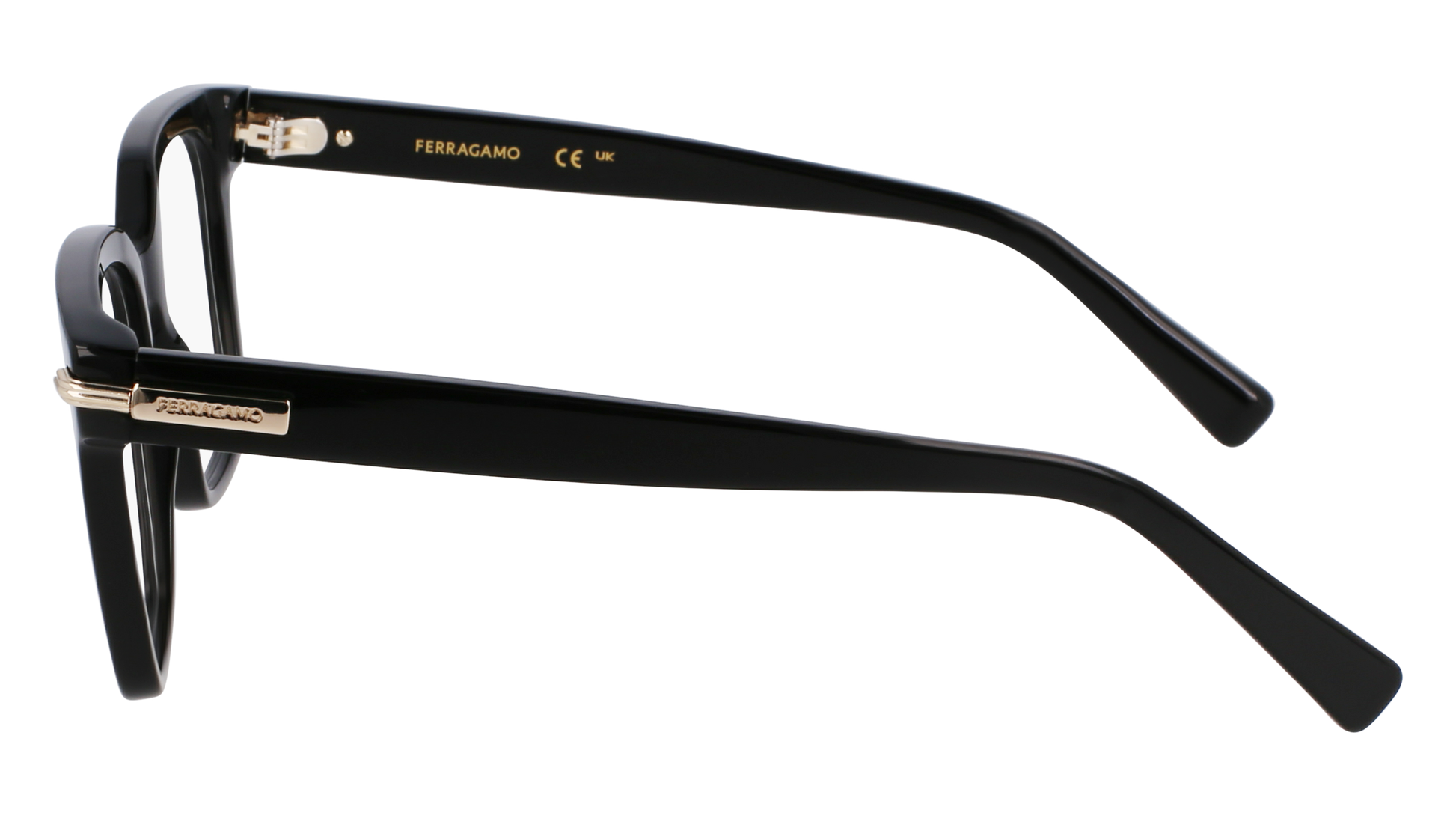 FERRAGAMO Eyeglasses SF3009 1 52