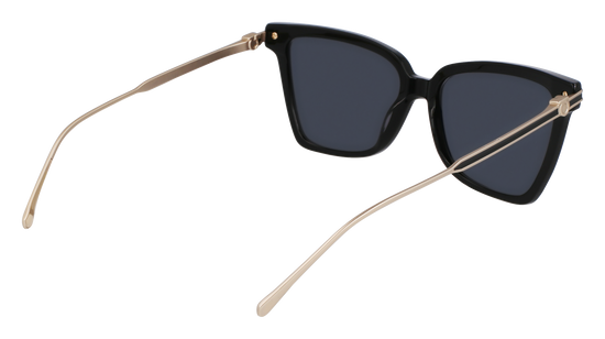 FERRAGAMO Sunglasses SF2036S 1 56