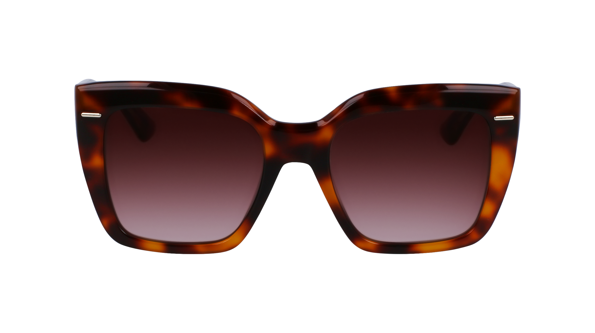 CALVIN KLEIN Sunglasses CK23508S 220 54