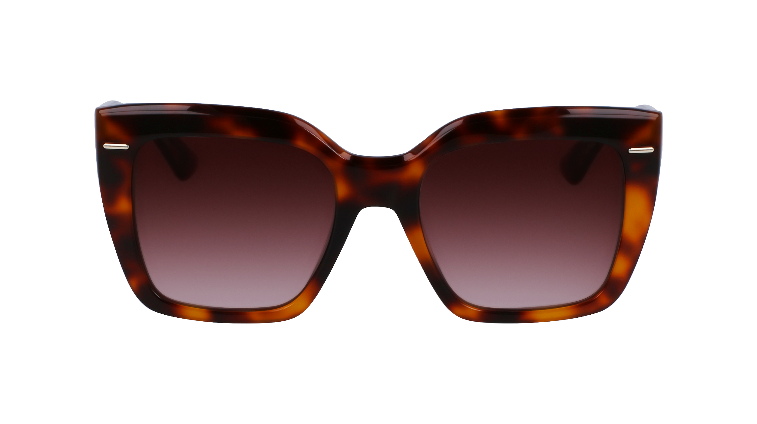 CALVIN KLEIN Sunglasses CK23508S 220 54