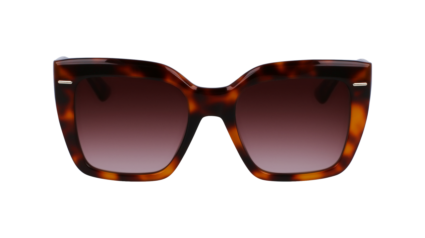 CALVIN KLEIN Sunglasses CK23508S 220 54