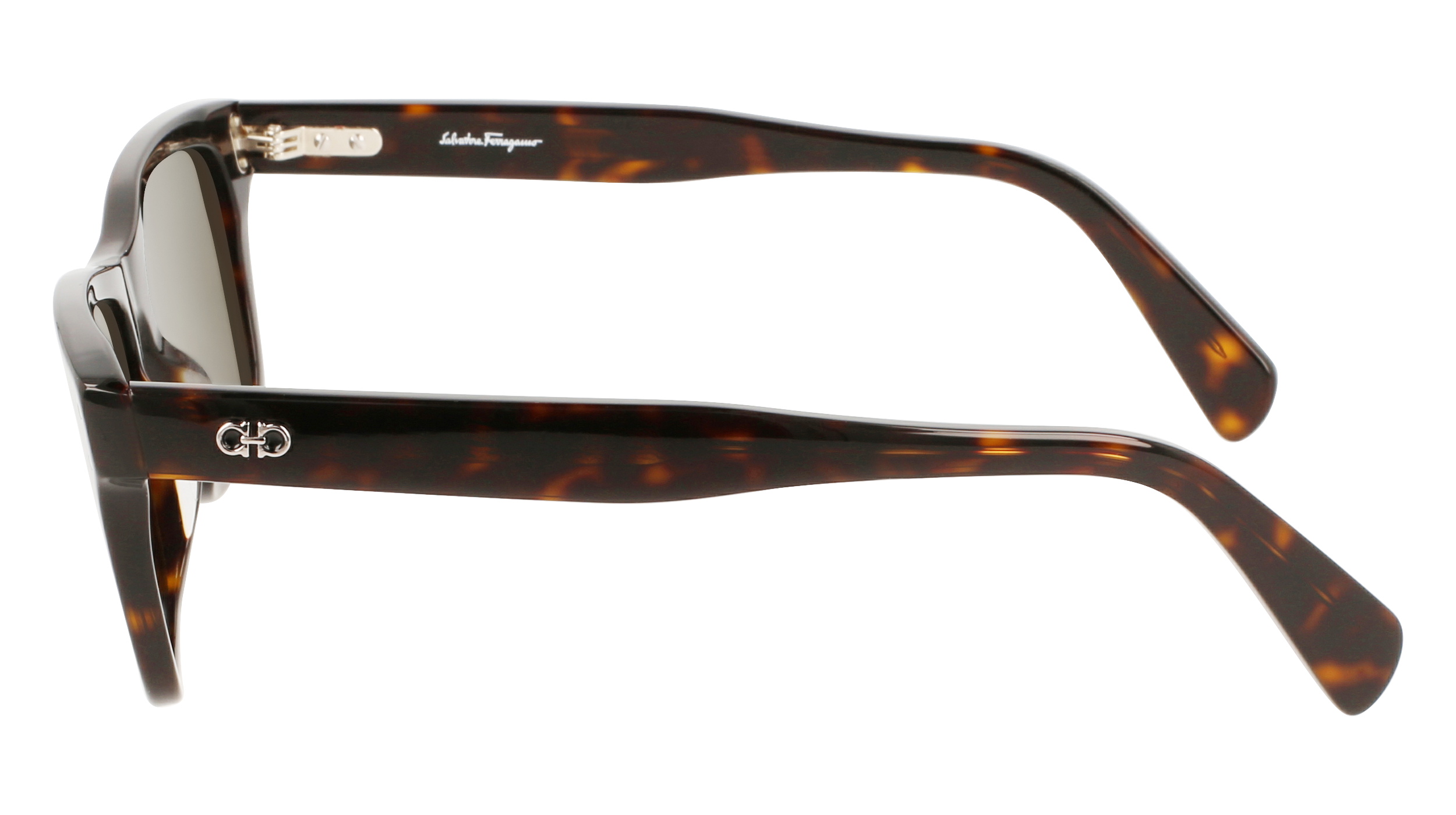 FERRAGAMO Sunglasses SF1039S 240 54