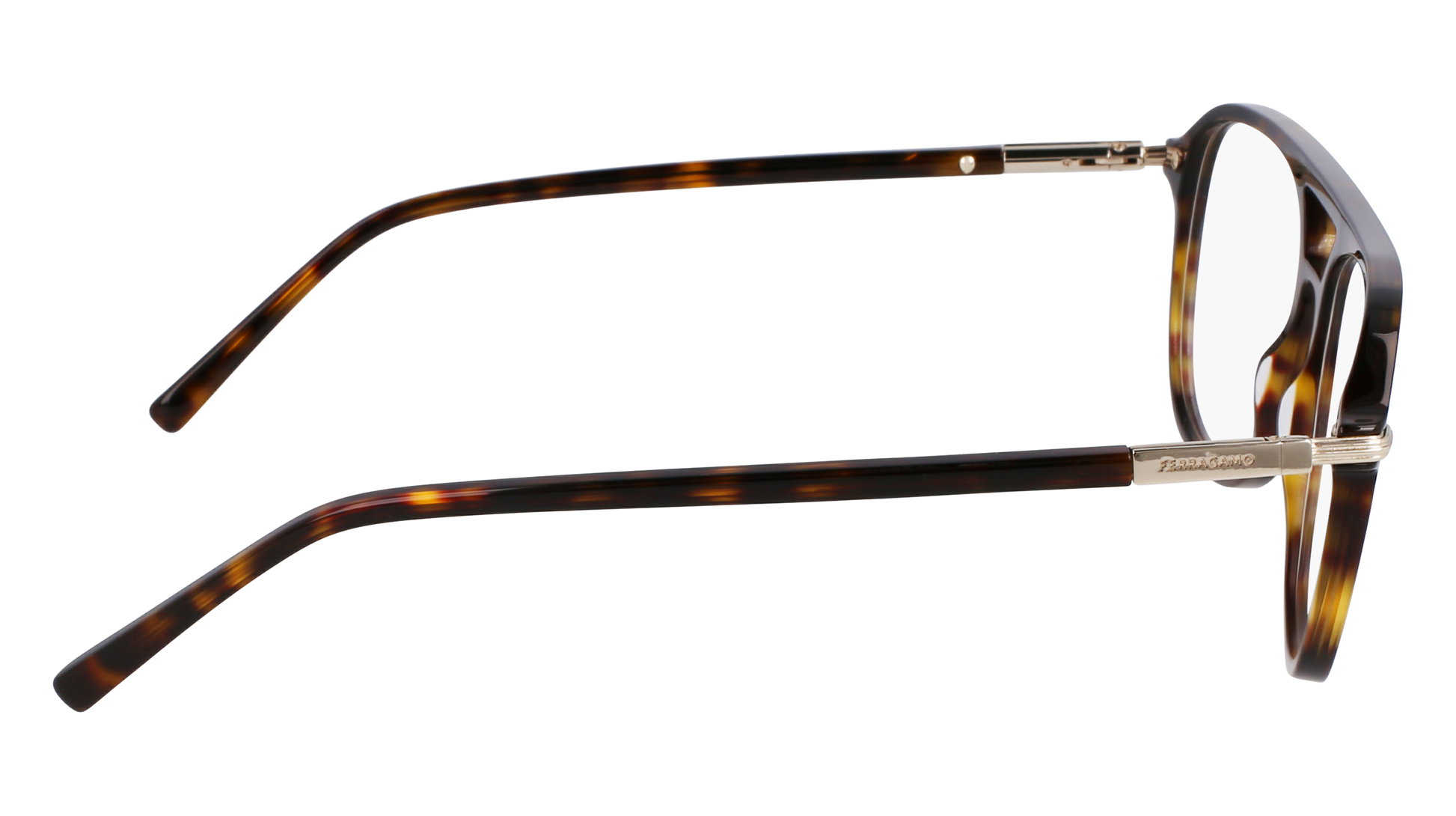 FERRAGAMO Eyeglasses SF3006 242 56