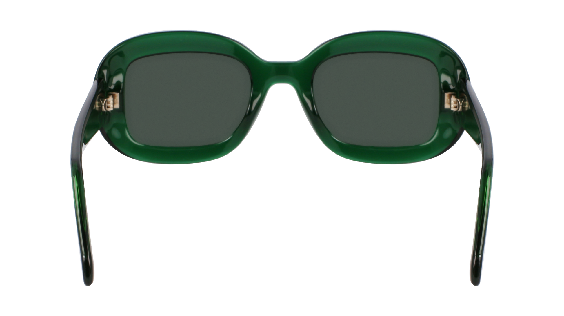 FERRAGAMO Sunglasses SF2038SE 317 51