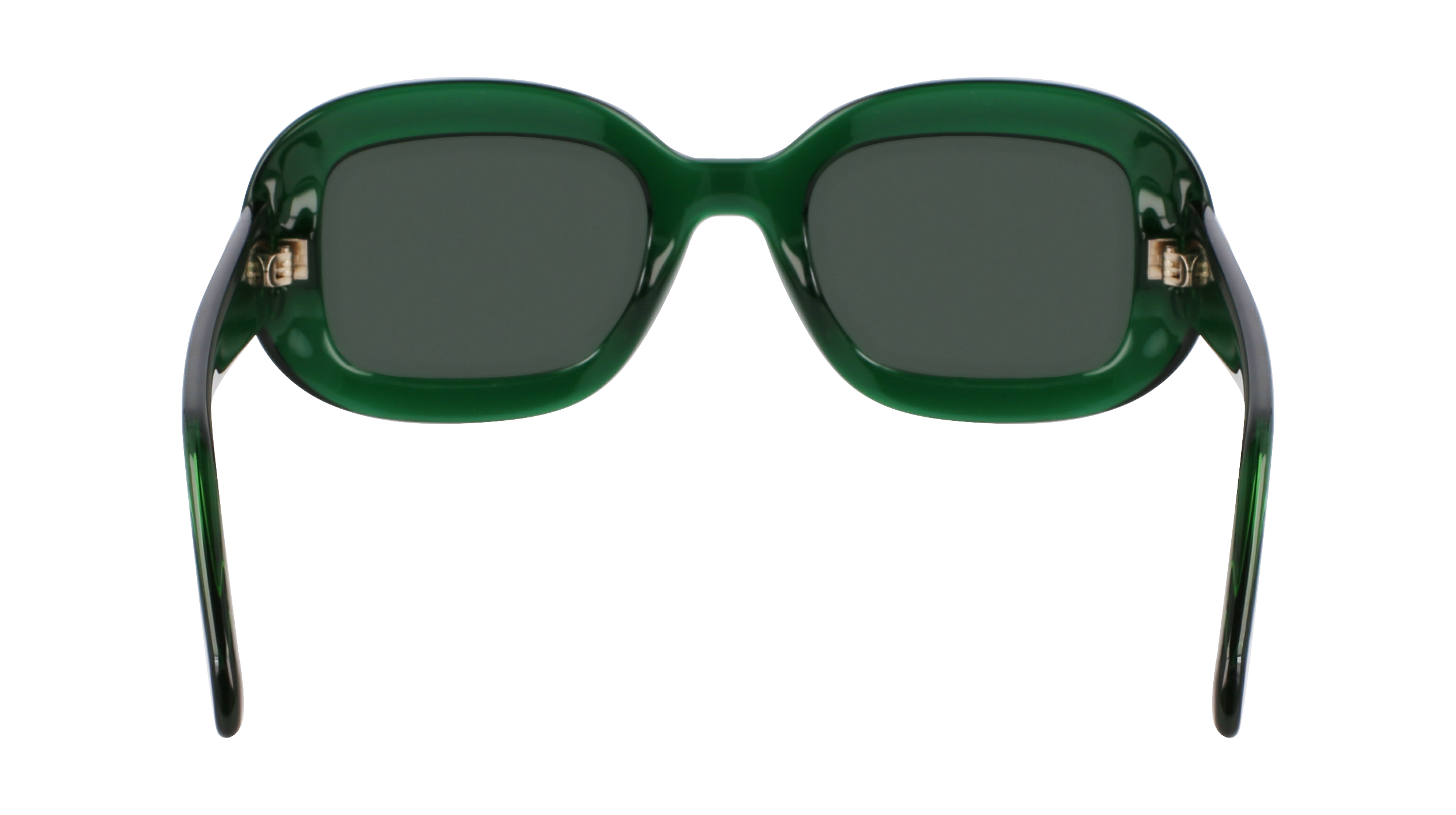 FERRAGAMO Sunglasses SF2038SE 317 51