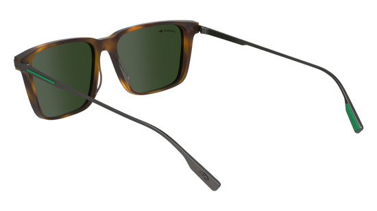 LACOSTE Sunglasses L6017S 214 55