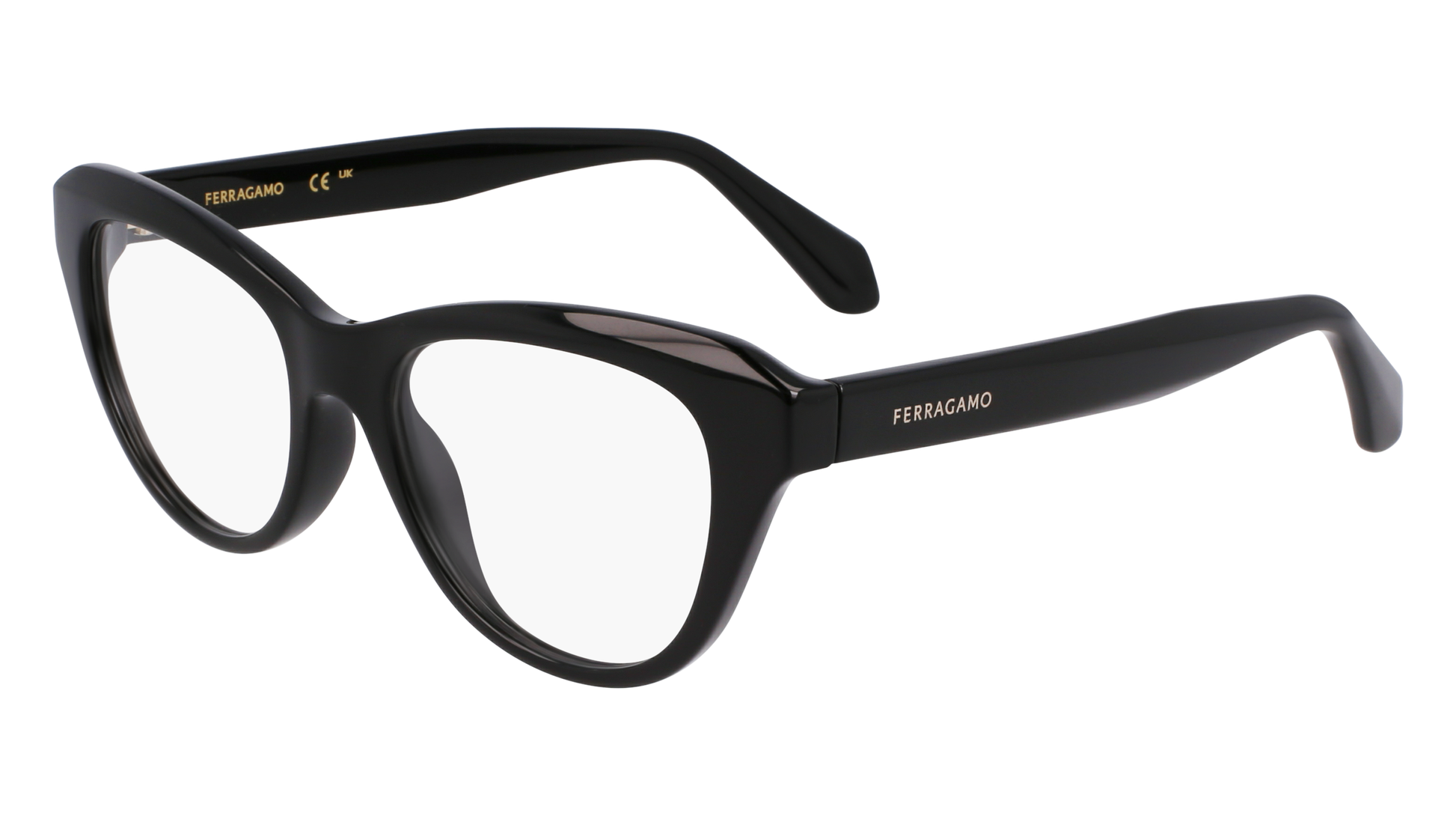 FERRAGAMO Eyeglasses SF2989E 1 51