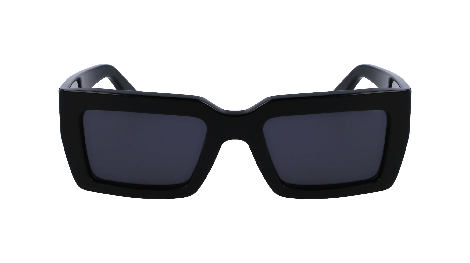 FERRAGAMO Sunglasses SF1108S 1 54