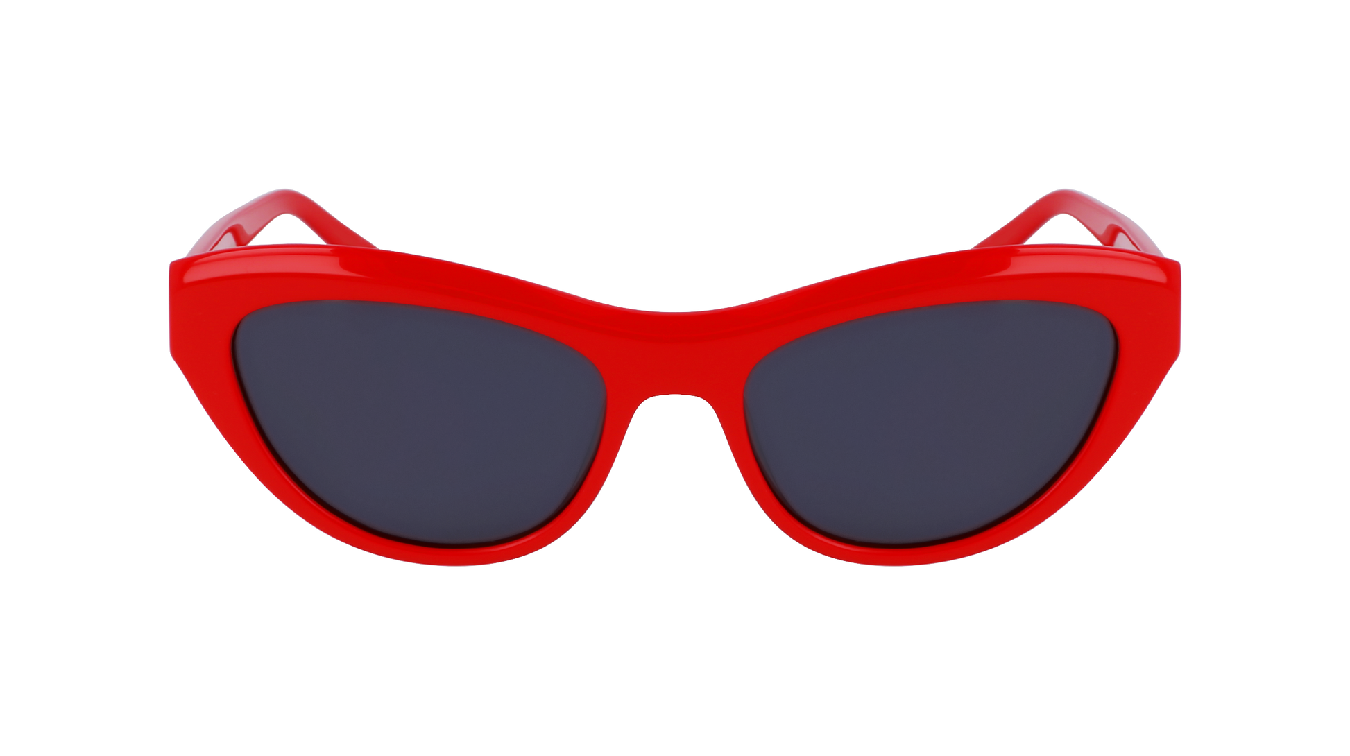 FERRAGAMO Sunglasses SF1103S 600 55