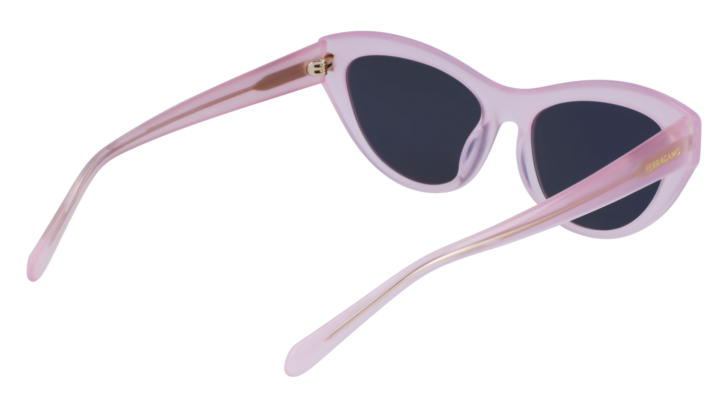 FERRAGAMO Sunglasses SF1103S 663 55