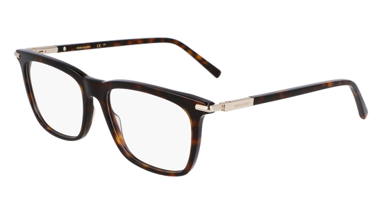 FERRAGAMO Eyeglasses SF3007 242 56