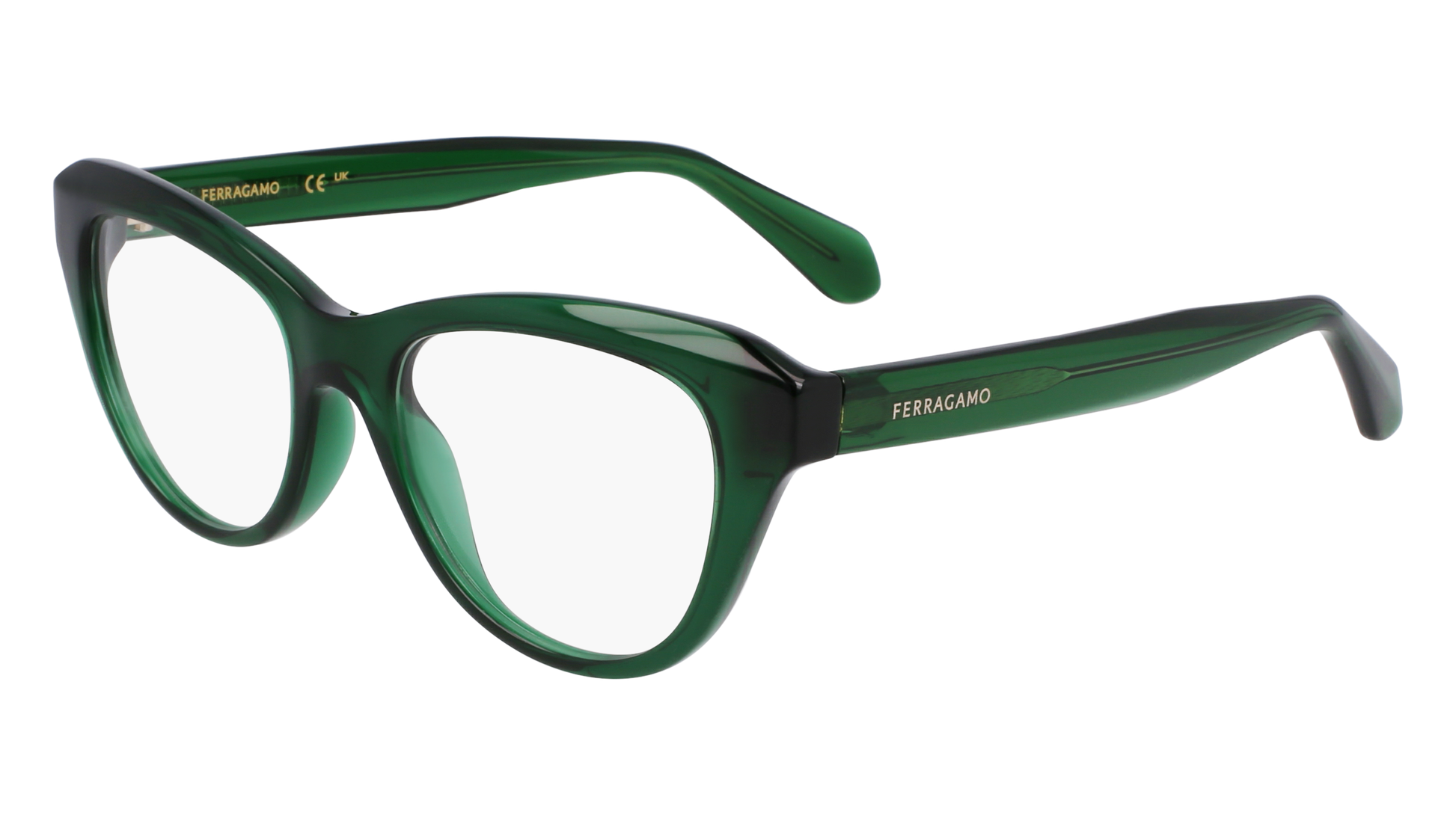 FERRAGAMO Eyeglasses SF2989E 317 51