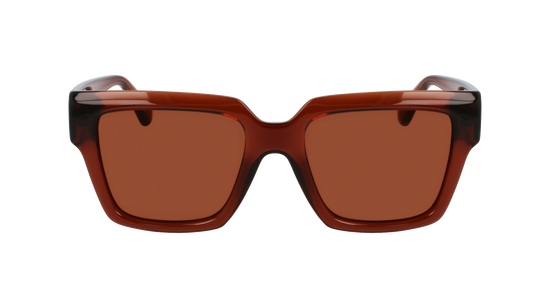 FERRAGAMO Sunglasses SF2014S 232 54