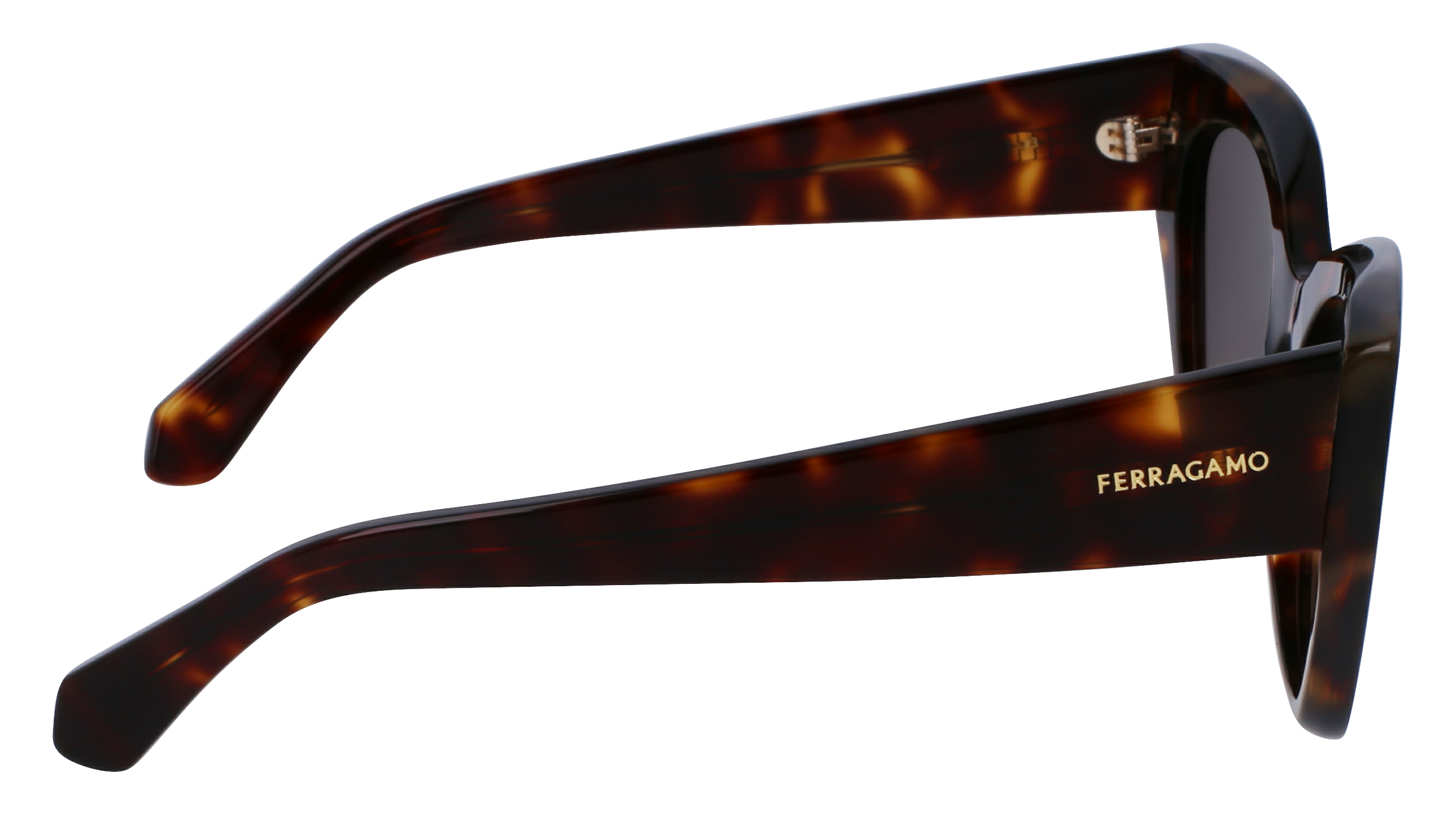 FERRAGAMO Sunglasses SF1107S 242 55