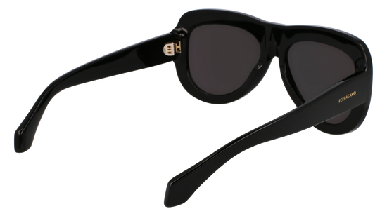 FERRAGAMO Sunglasses SF2029SE 1 57