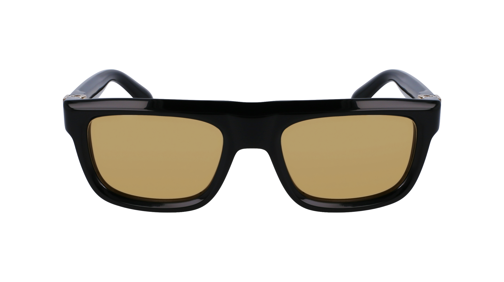 FERRAGAMO Sunglasses SF2009S 11 56