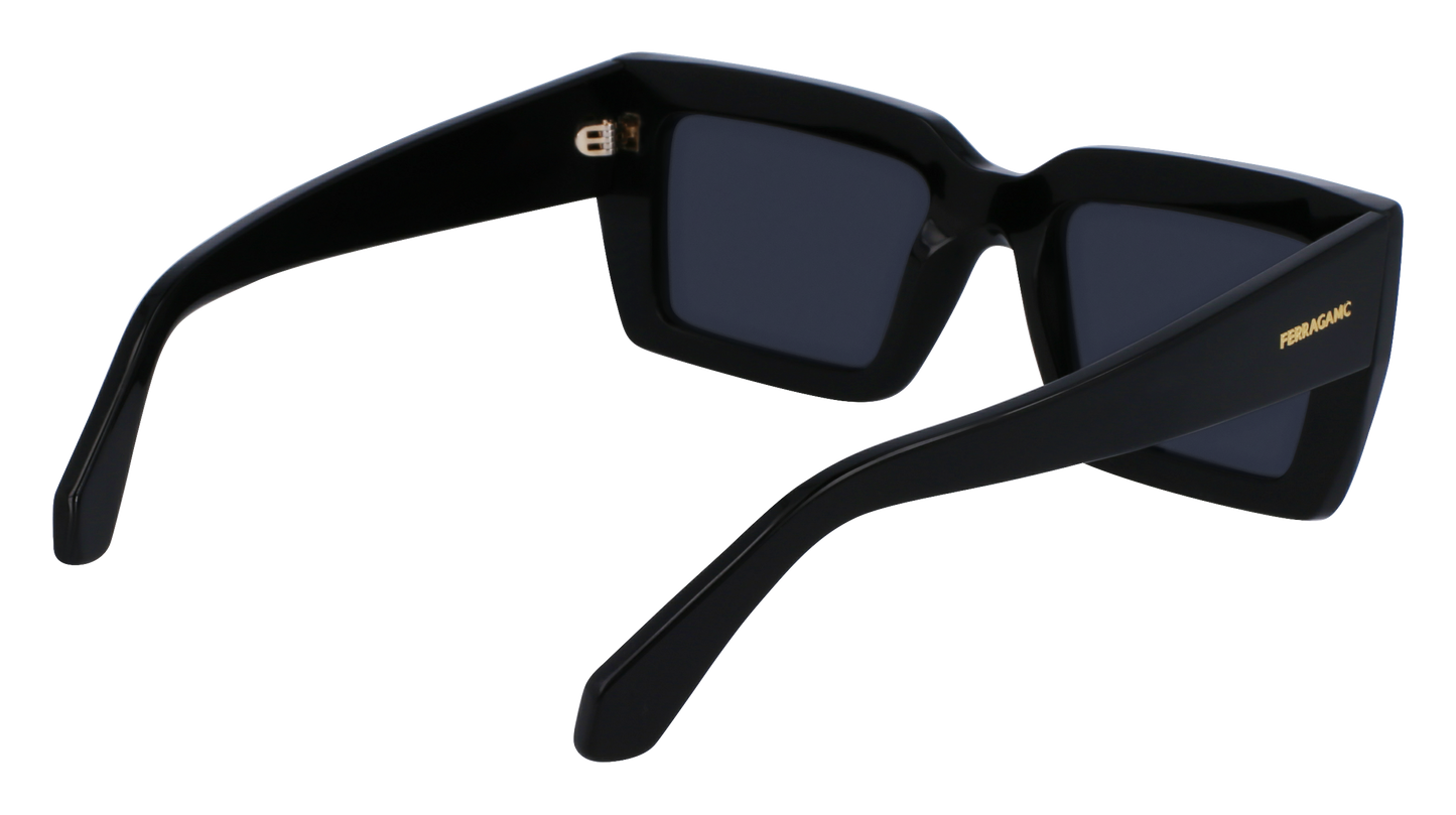 FERRAGAMO Sunglasses SF1108S 1 54