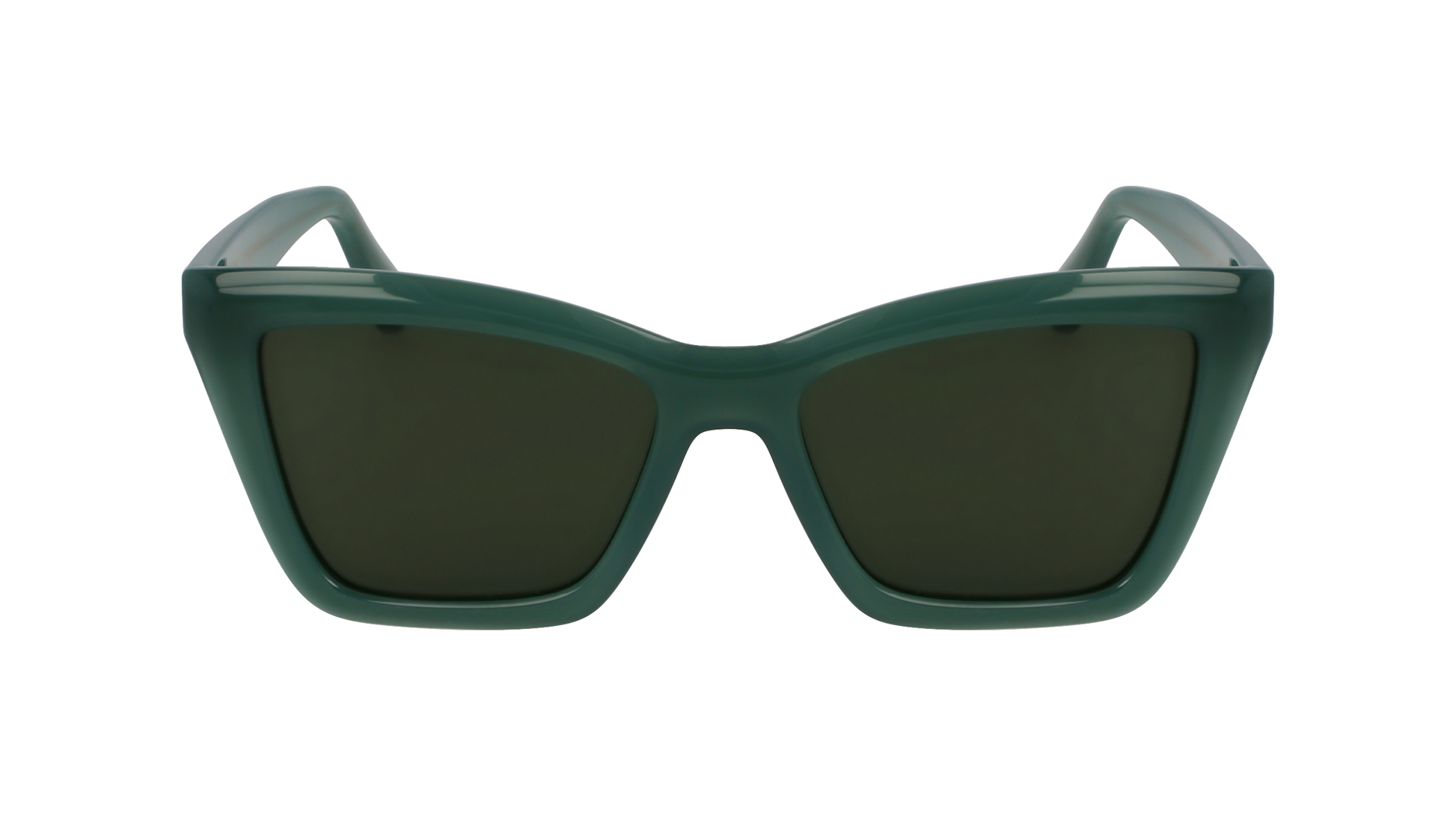 FERRAGAMO Sunglasses SF2039SE 339 53