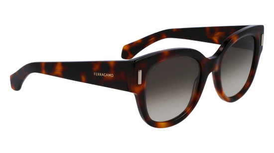 FERRAGAMO Sunglasses SF2007S 240 51