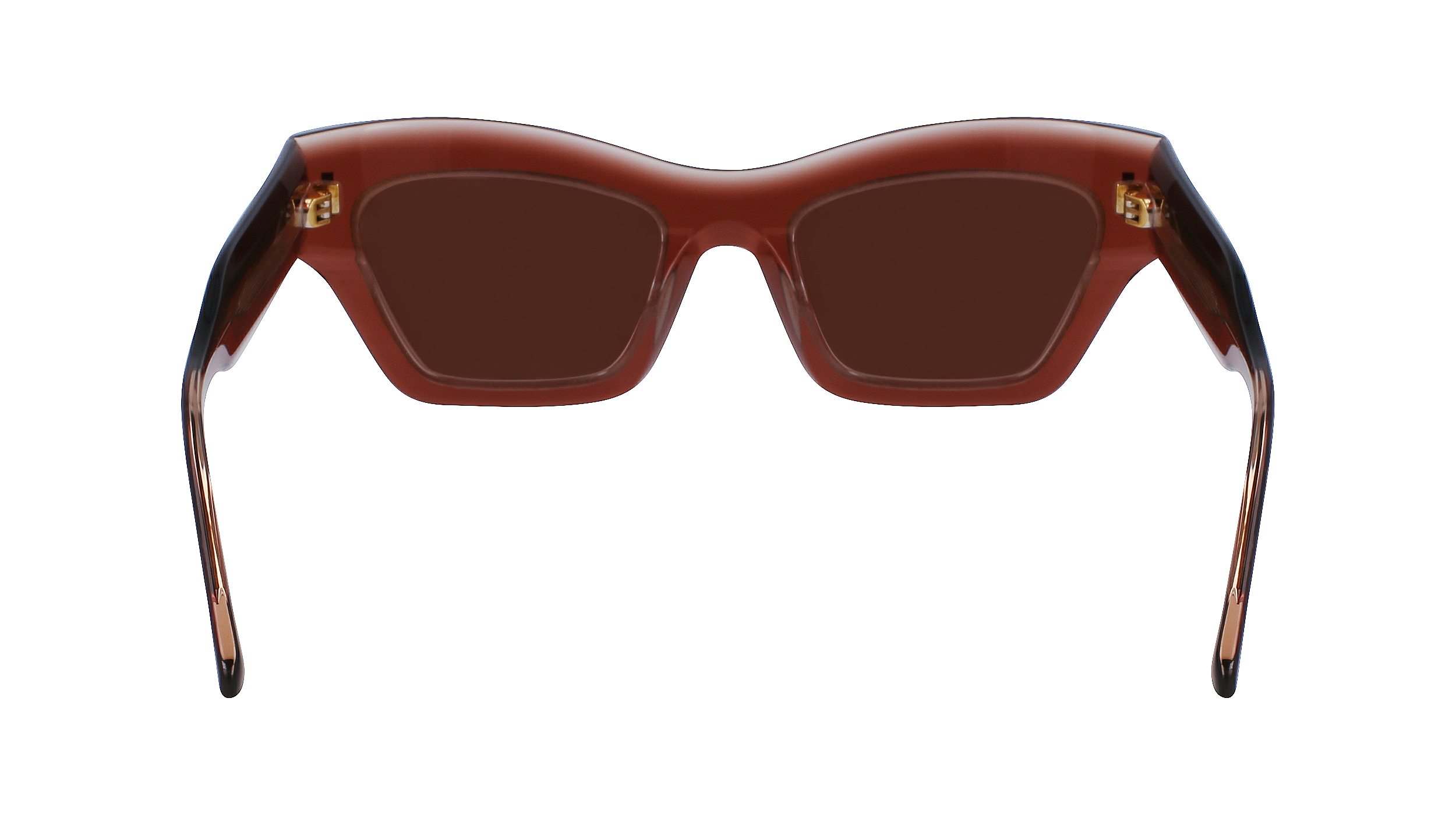 CALVIN KLEIN Sunglasses CK23503S 601 54