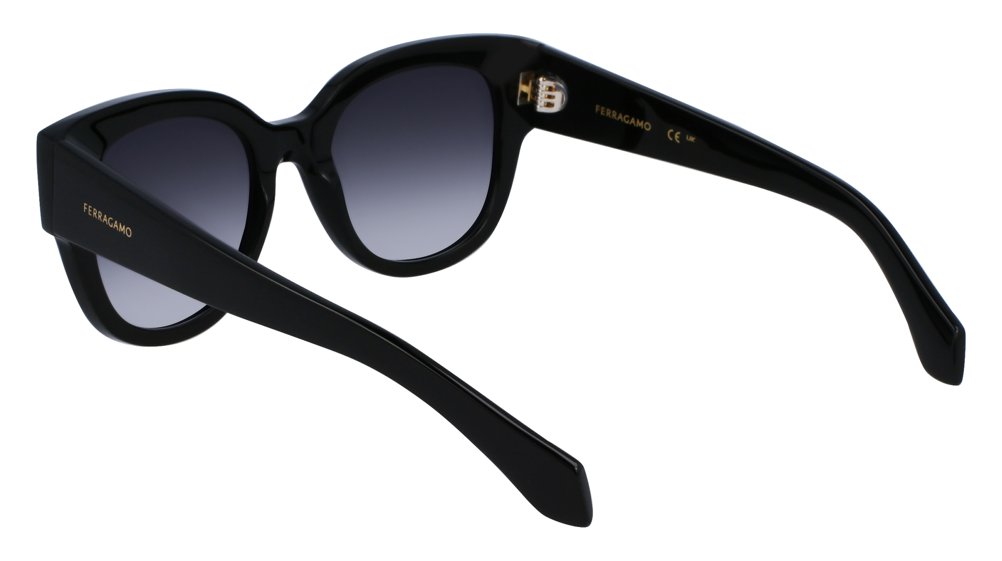 FERRAGAMO Sunglasses SF2007S 1 51