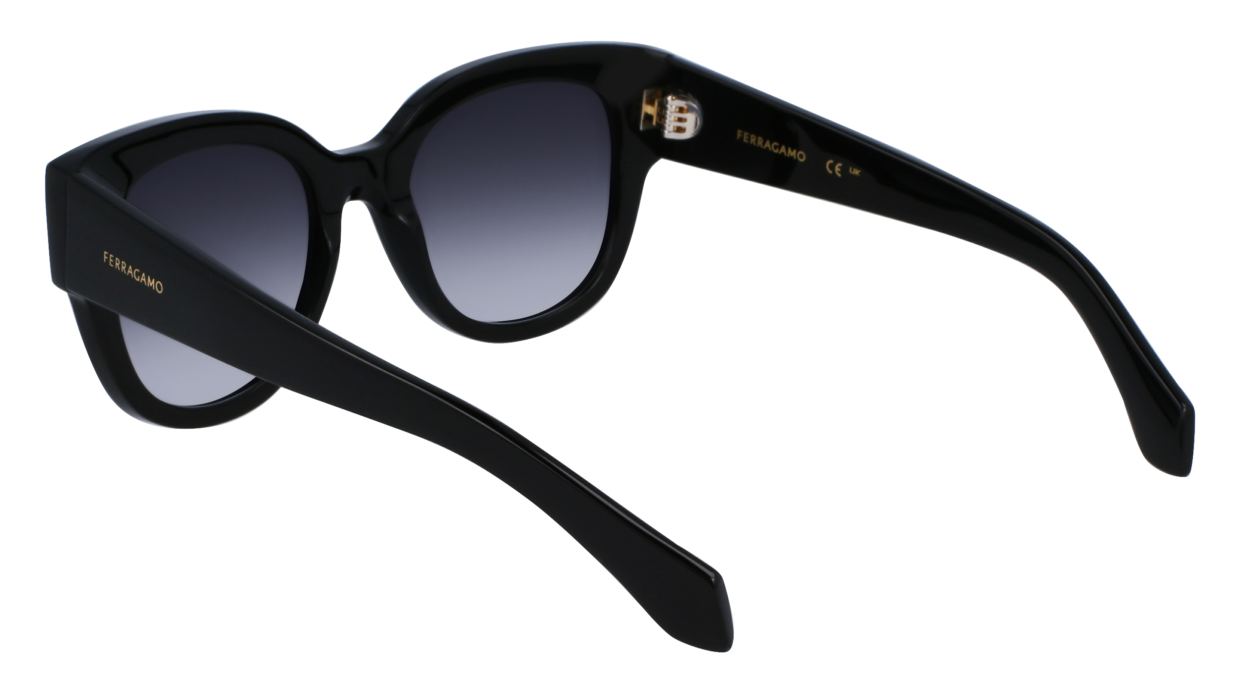 FERRAGAMO Sunglasses SF2007S 1 51