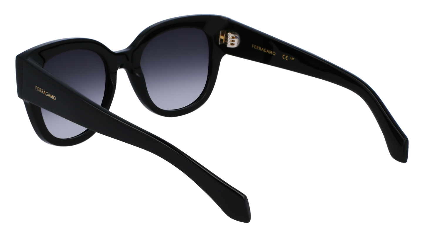 FERRAGAMO Sunglasses SF2007S 1 51