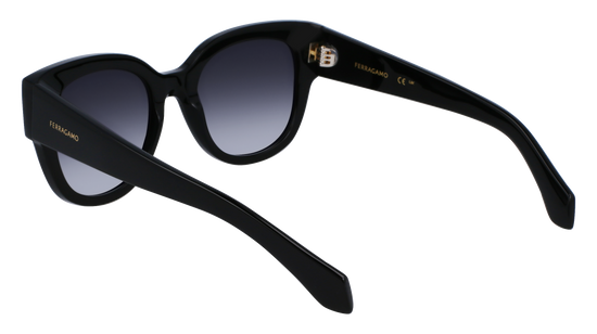 FERRAGAMO Sunglasses SF2007S 1 51