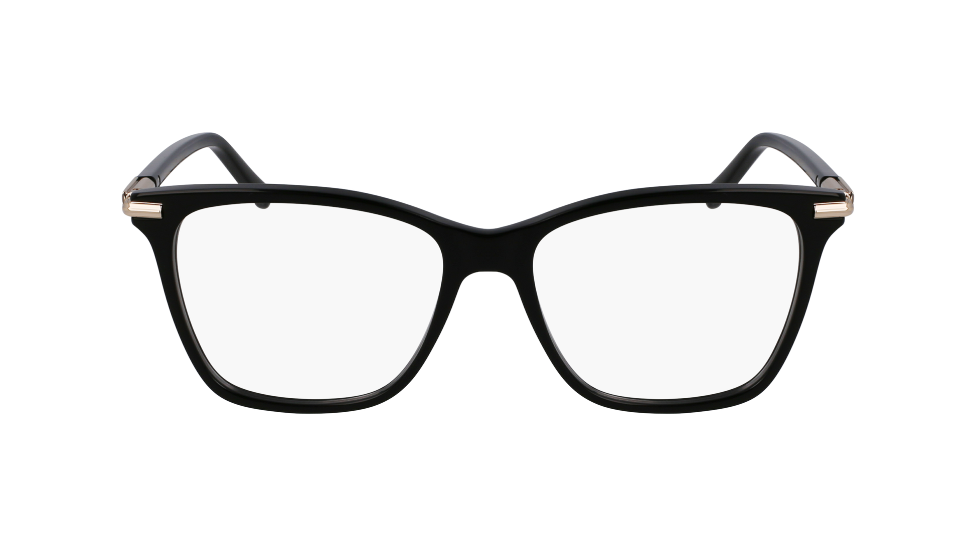 FERRAGAMO Eyeglasses SF3013 1 53