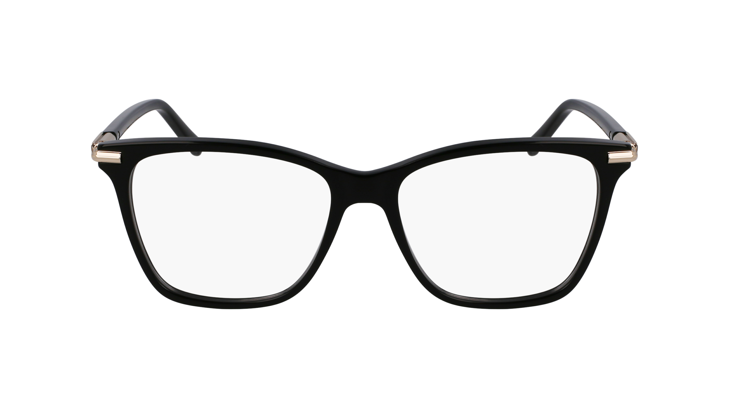 FERRAGAMO Eyeglasses SF3013 1 53