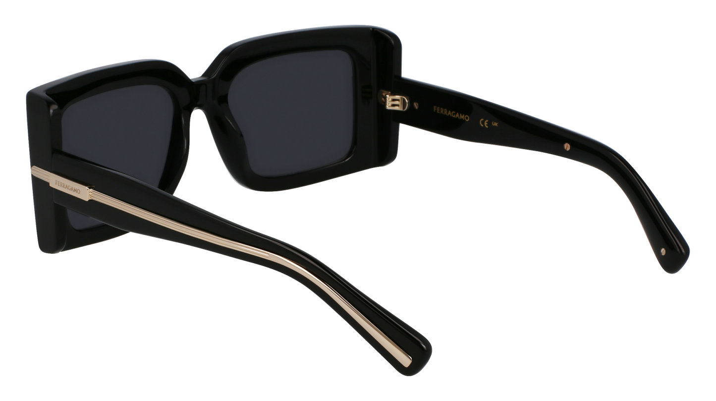 FERRAGAMO Sunglasses SF2032S 1 55