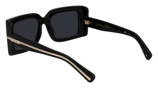 FERRAGAMO Sunglasses SF2032S 1 55