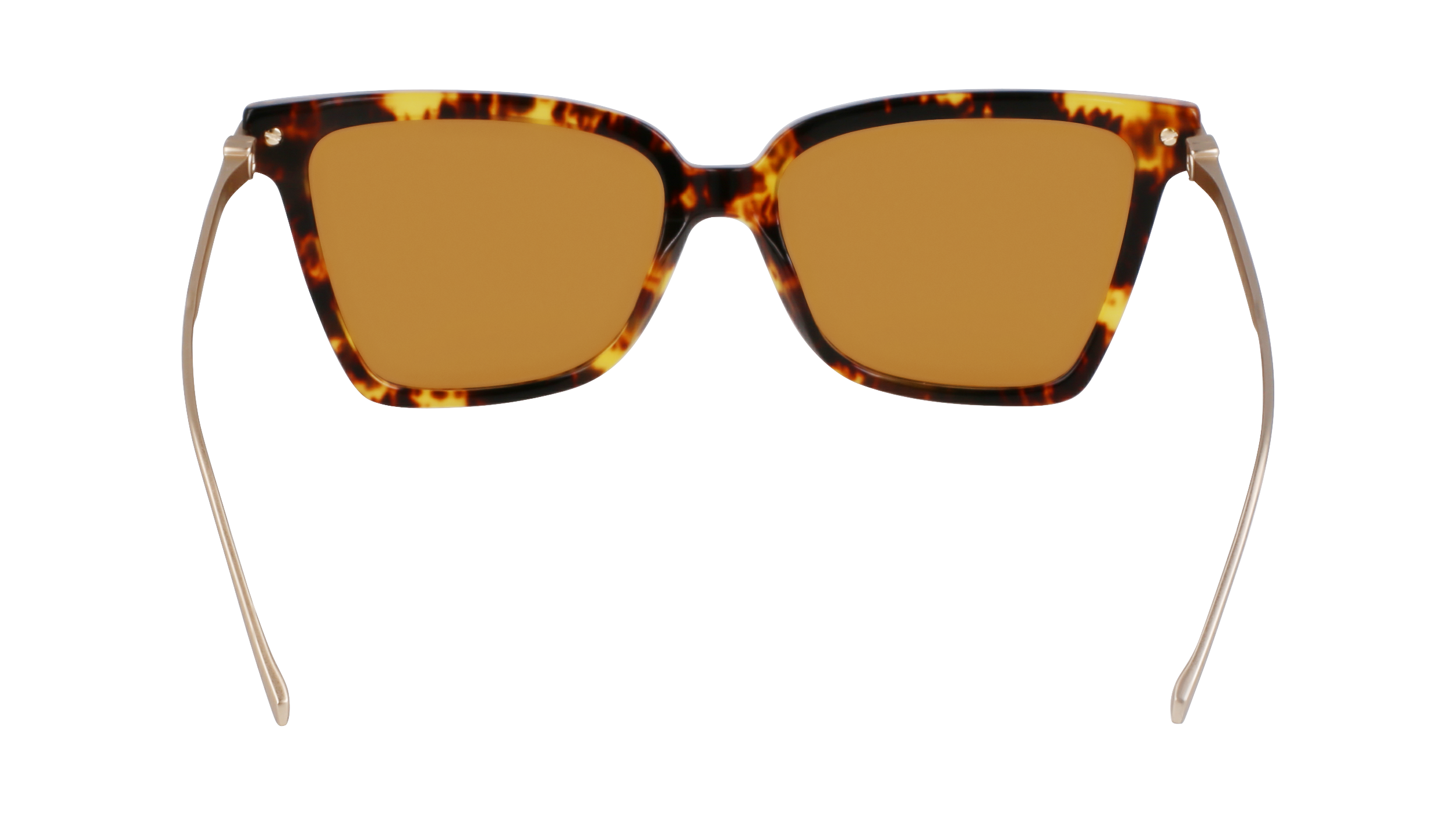 FERRAGAMO Sunglasses SF2036S 242 56