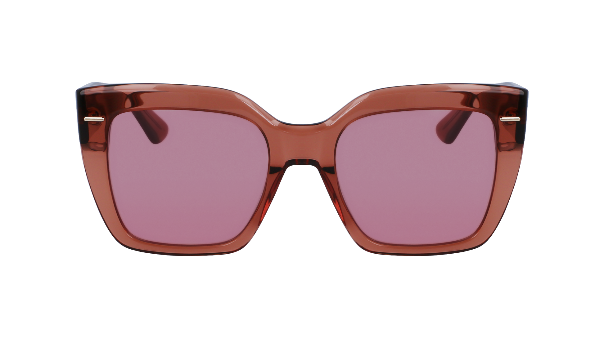 CALVIN KLEIN Sunglasses CK23508S 200 54