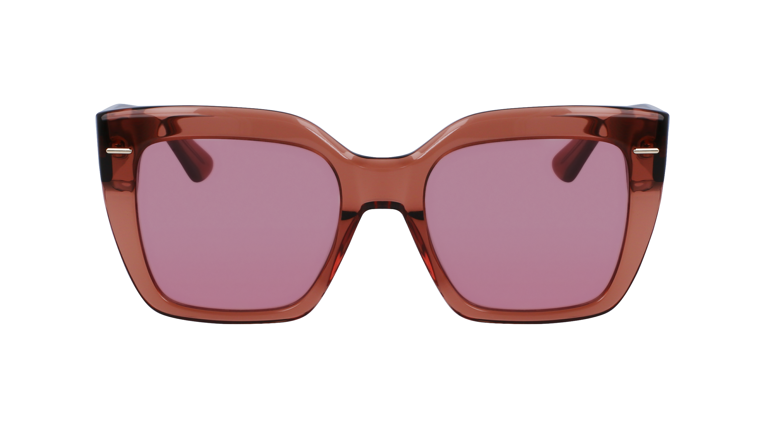 CALVIN KLEIN Sunglasses CK23508S 200 54