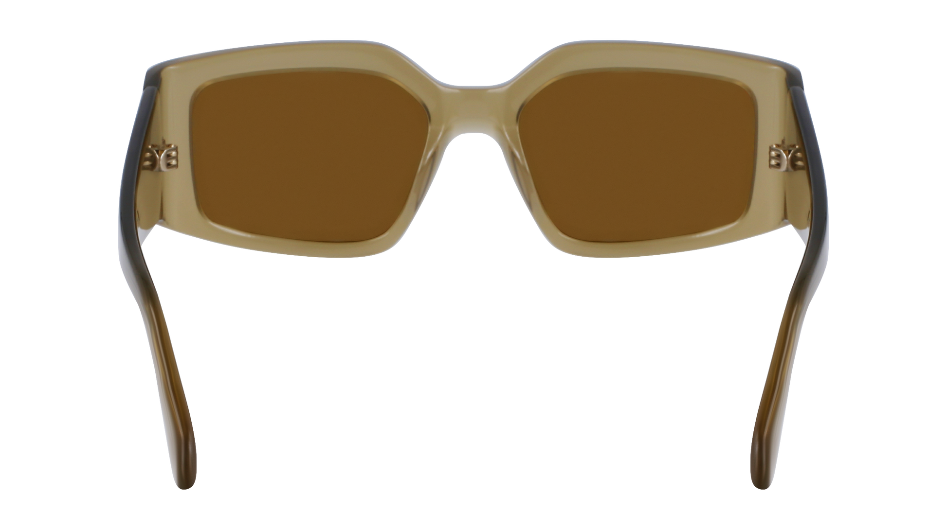 FERRAGAMO Sunglasses SF1101S 330 54
