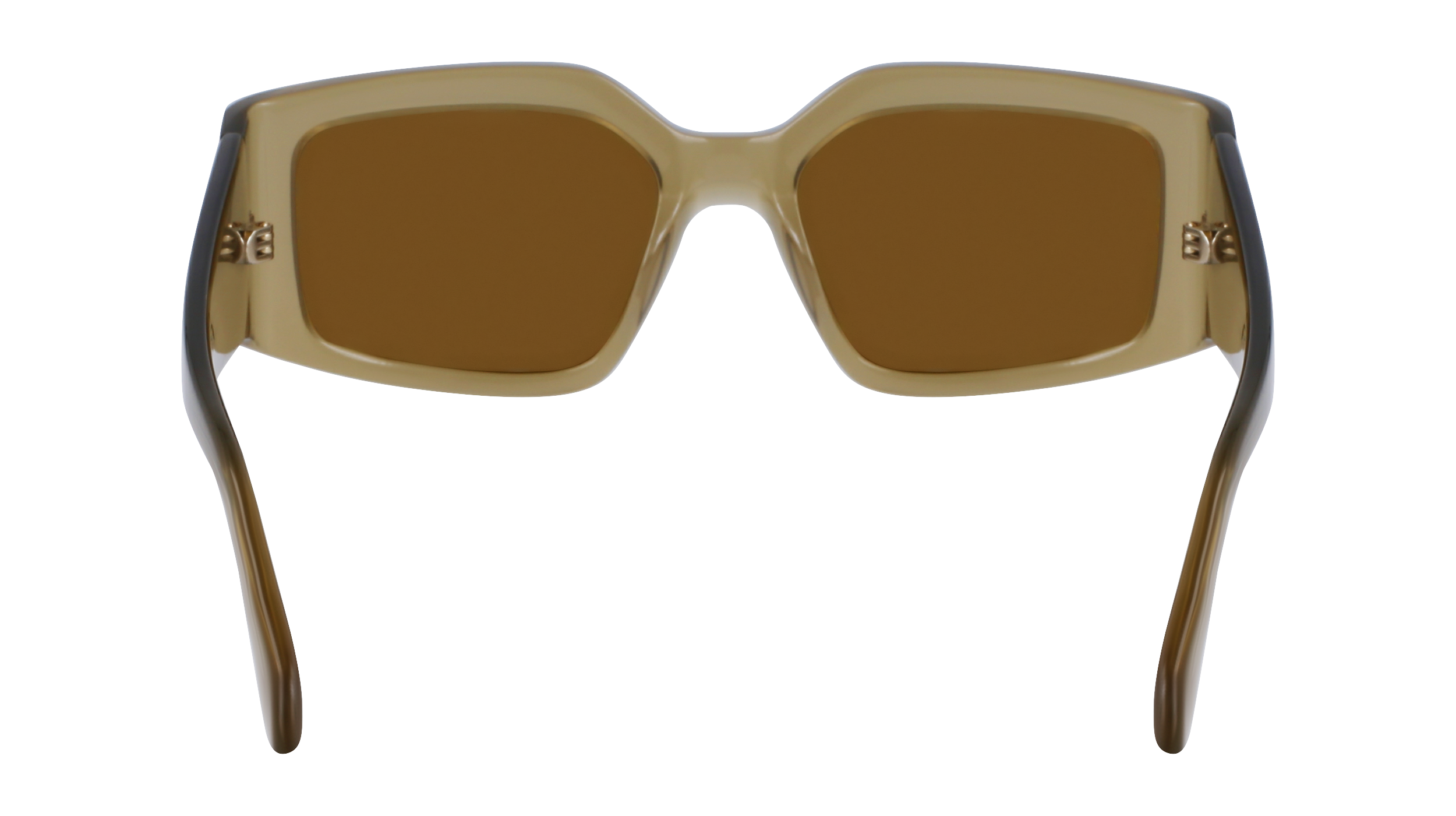 FERRAGAMO Sunglasses SF1101S 330 54