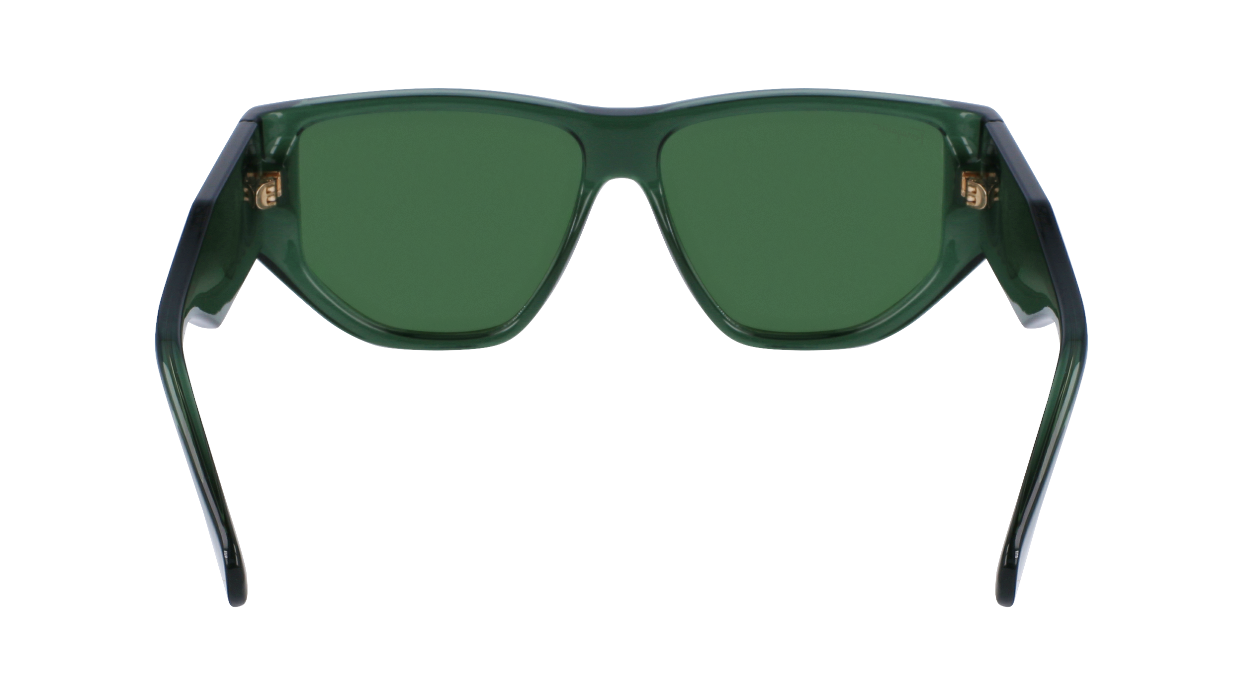 FERRAGAMO Sunglasses SF1077S 317 56